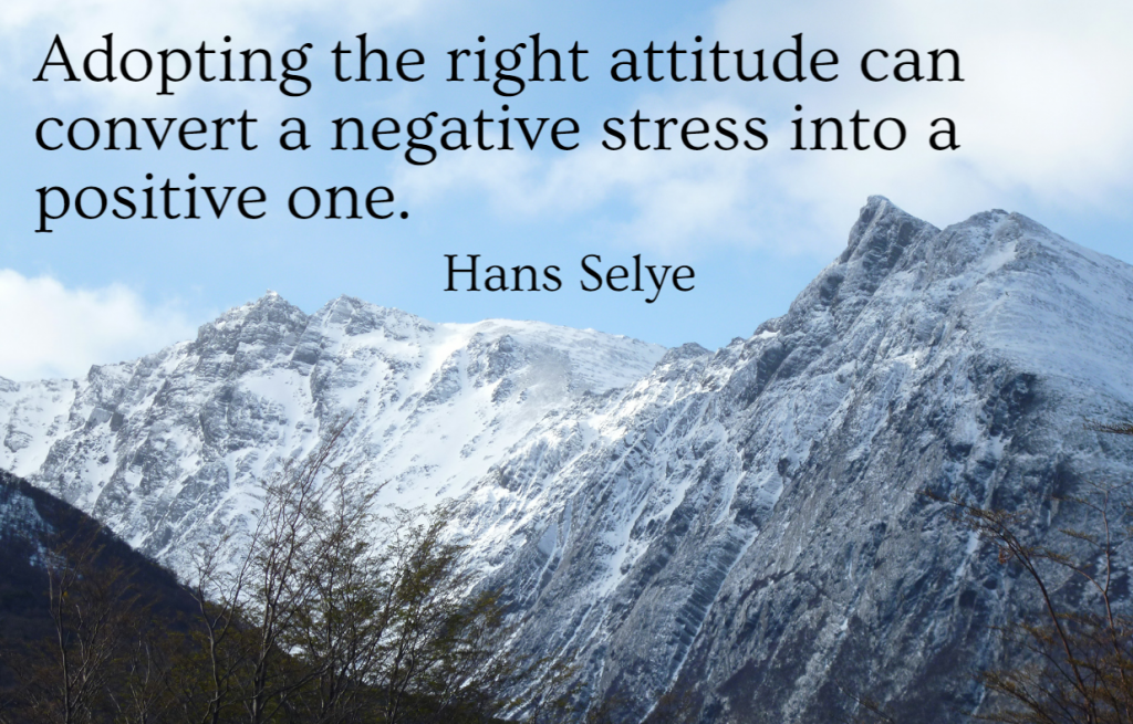 Quote- Adopting the right attitude can convert a negative stress into a positive one. Hans Selye